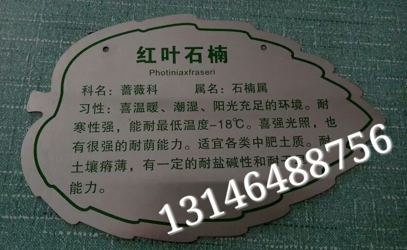 植物标牌手绘